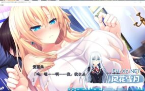 [大型ADV/中文] 野良与皇女与流浪猫之心2 ノラと皇女と野良猫ハート V1.03a 汉化版全CG [8.7G]